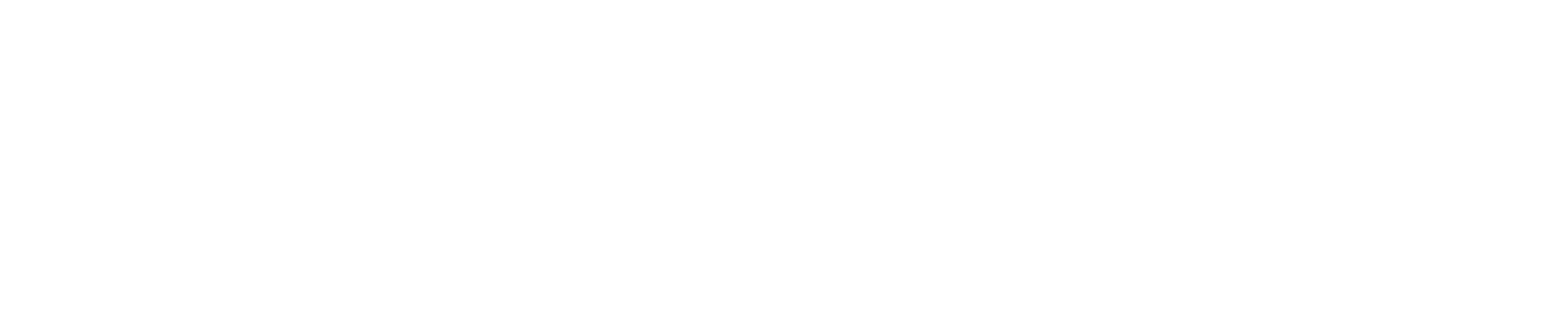 mcafan